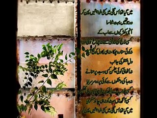 naseebo lal new punjabi  song  by shahid jutt sialkot