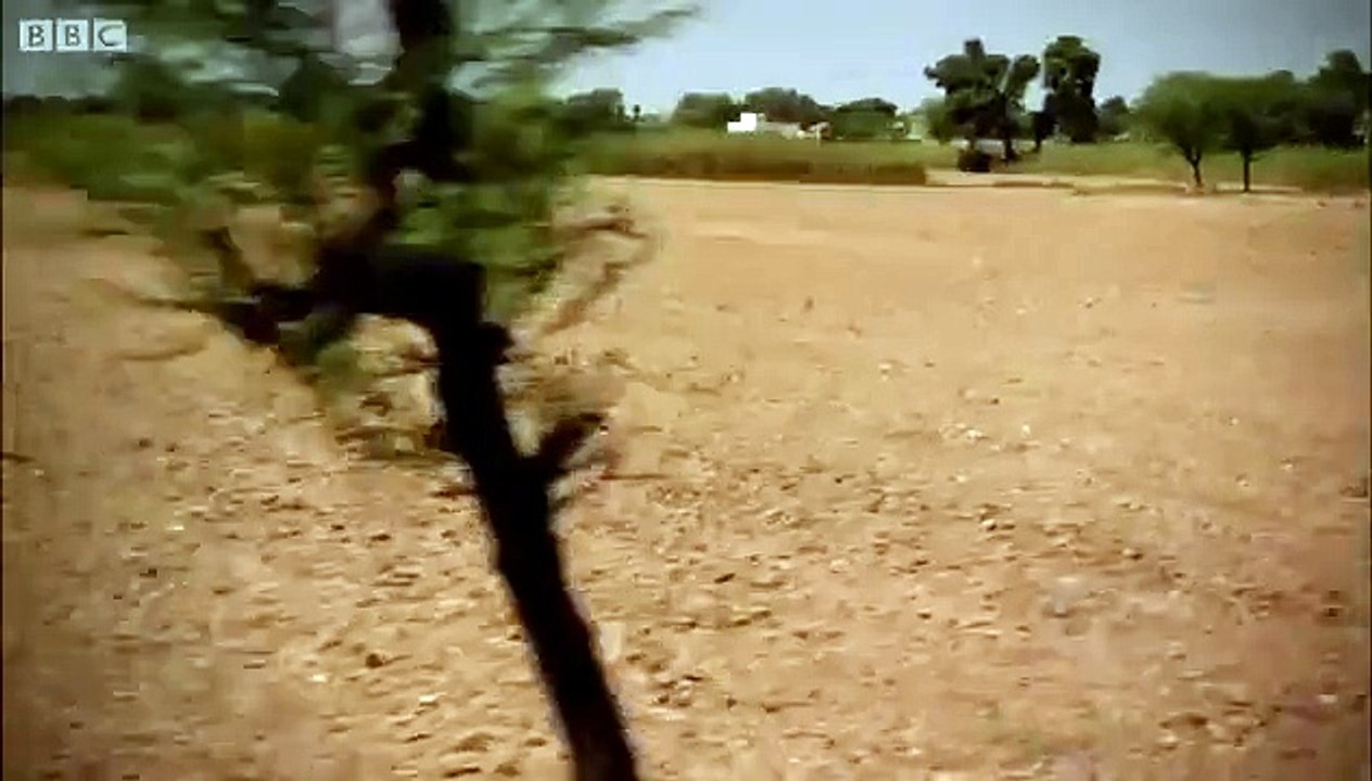 How to lose a head in advertising - Top Gear Christmas Special 2011 - BBC