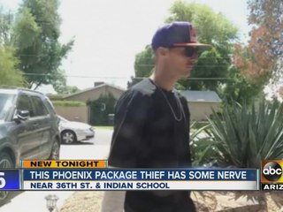 Package thieves honk, wave to PHX homeowner