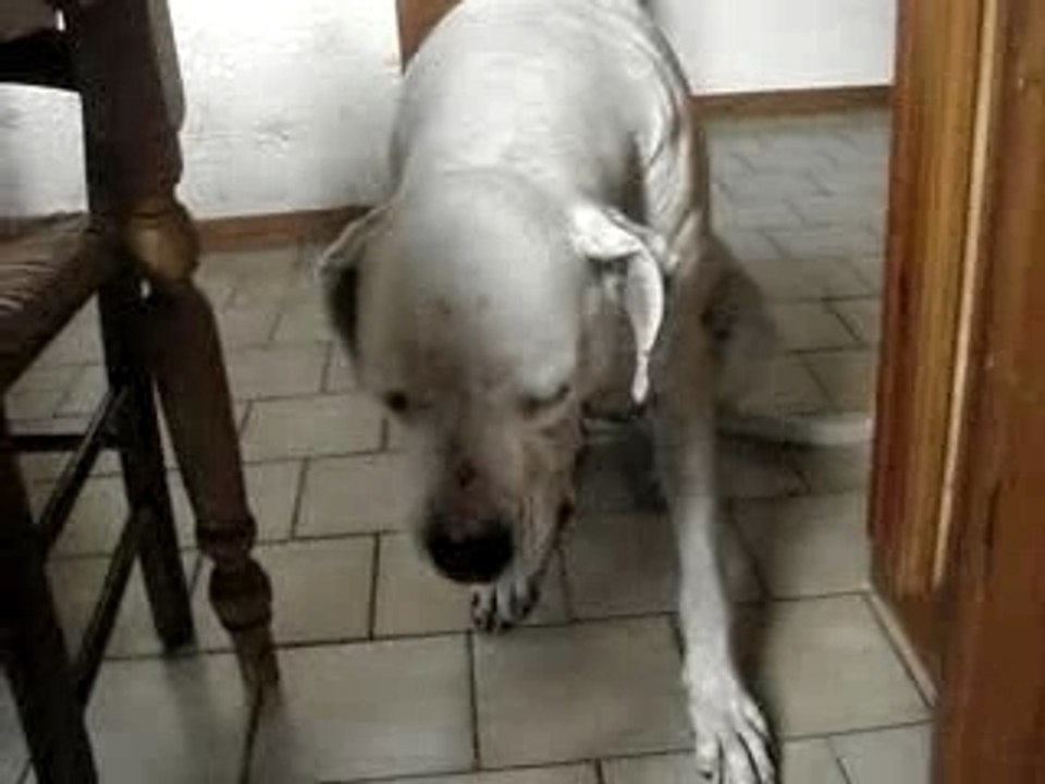 qu'est ce qu'elle ne ferait pas !!!