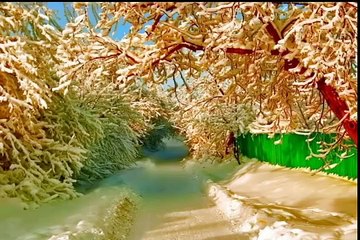 Ek Zamindar ki qabar bichu se bari  thi by Maulana Tariq Jameel