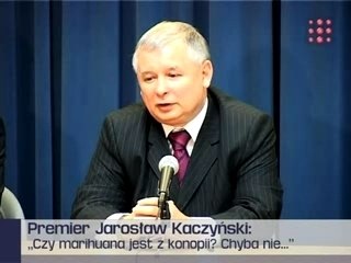 Co premier Kaczyński wie o narkotykach?