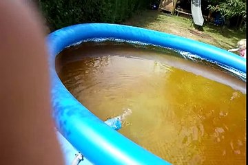 Braunes Wasser im Pool mit Vitamin C geklärt