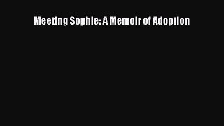 Read Meeting Sophie: A Memoir of Adoption Ebook Free