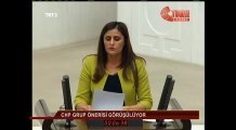 HDP Agri Milletvekili Dirayet TASDEMIR Bir konusma yapti Mecliste konusmadan sonra KÜRDISTAN Tartismasi yasandi.
