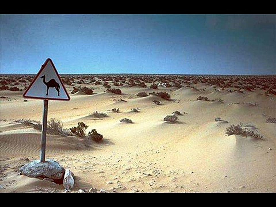 Sahara Music