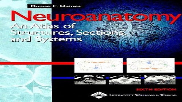 Download Neuroanatomy An Atlas of Structures Sections and Systems Neuroanatomy An Atlas