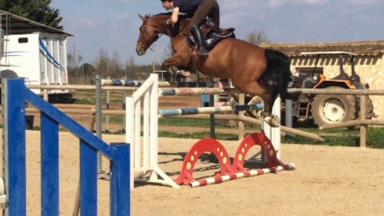 9 ans Accardi x Darco x Voltaire