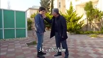 Defne Agaci 36 ci Bolum