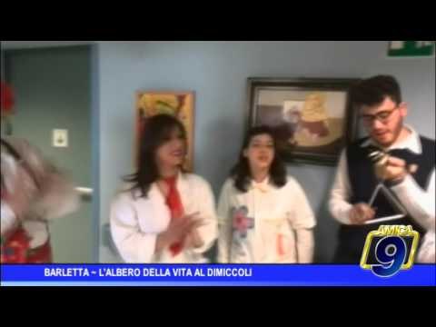 Barletta | L'albero della vita al Dimiccoli