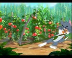 Tom and Jerry Cartoon Summer Squashing 2
