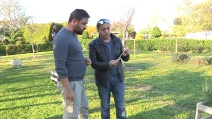 Turgut Özal'ın Papağanı Cabbar'ın Çalındığı İddiası