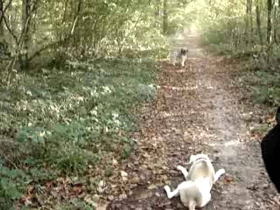 Bagueera et sa copine