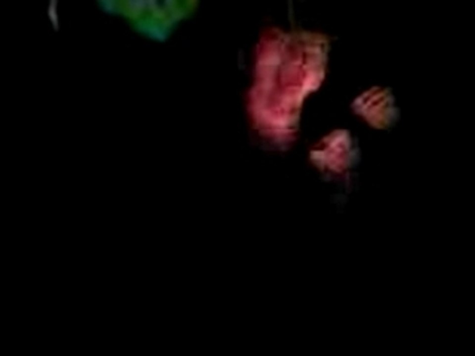 Vidéo-0068