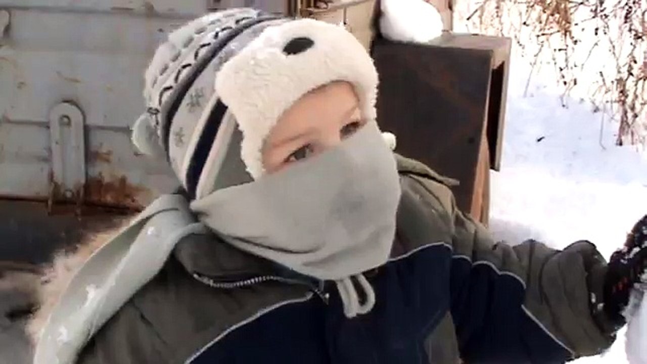 Бігла мишка по льоду.