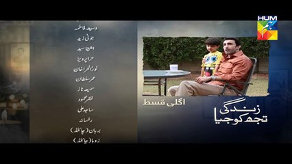 Zindagi Tujh Ko Jiya Episode 25 Promo HUM TV Drama 31 March 2016