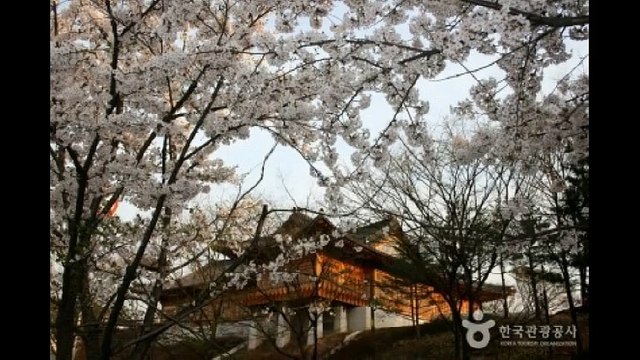 #인계동유흥 한대표 010↙7662↙7948 #안산풀싸롱