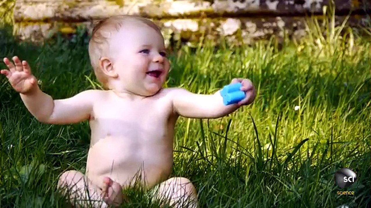 سبحان الله شاهد اللون الحقيقي للحمار الوحشي التى تعكس عظمة الخالق سبحانه وتعالى