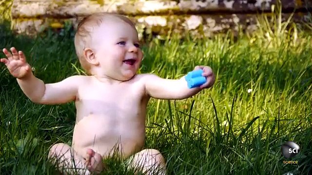 سبحان الله شاهد اللون الحقيقي للحمار الوحشي التى تعكس عظمة الخالق سبحانه وتعالى