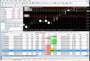 amazing results Live forex trading with scalper