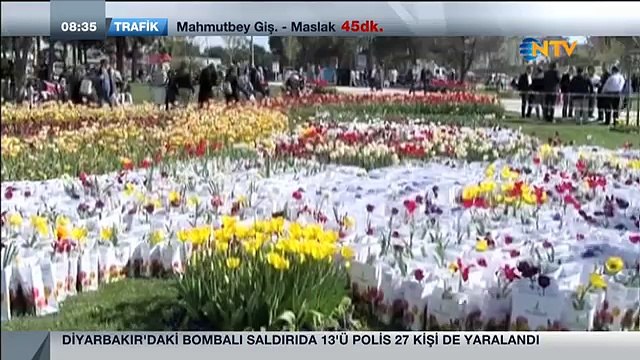 Sancaktepe'de Lale Festivali-Ntv