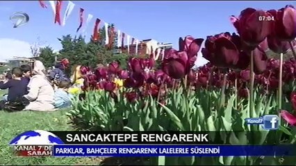 Sancaktepe'de Lale Festivali-Kanal 7