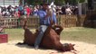 Sydney Easter Show Part 7 of 8 Outback Stockman Show, Starliners, Little Too Big, 26 Mar 2016