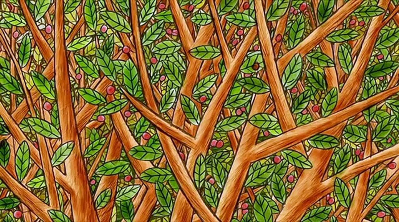 Гора самоцветов 7/1 После.