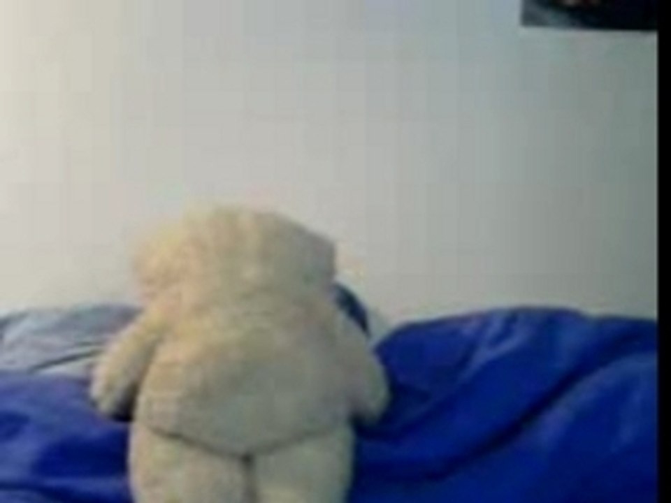 Msieur et mdame nounours