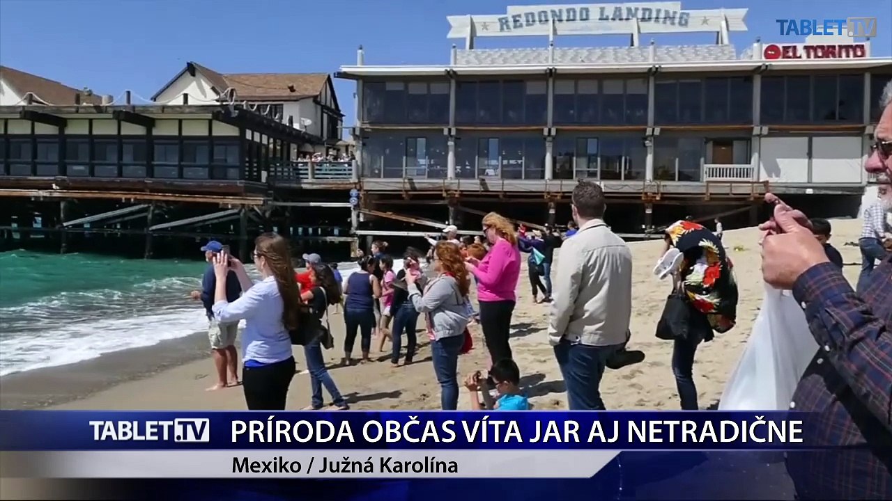 Príroda občas víta jar aj netradične, napríklad sopečnou aktivitou alebo veľrybiou šou