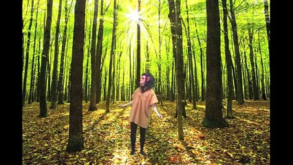 AP Lit Monkey Movie Trailer (Comic FULL HD 720P)