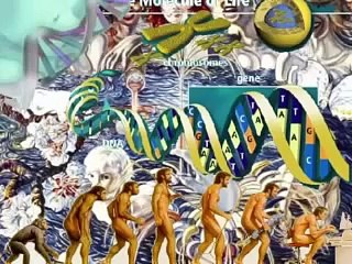 5 Datos que demuestran que seguimos evolucionando