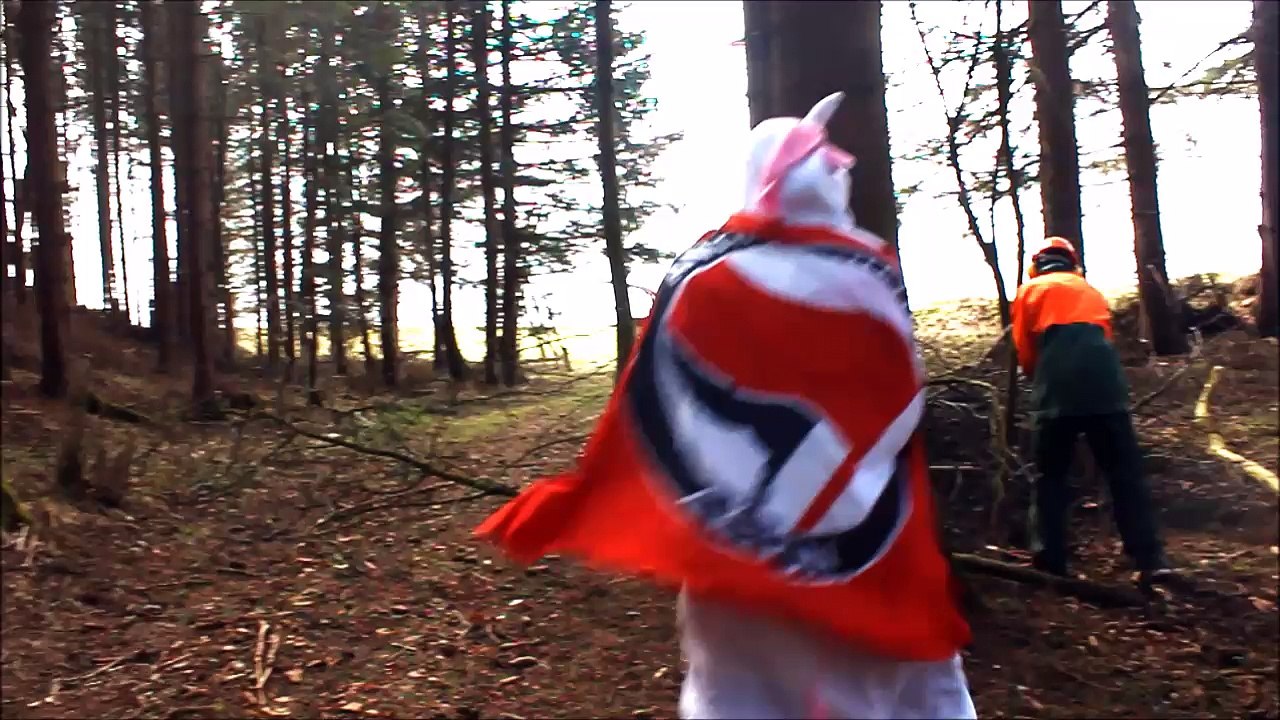 Antifaschistischeseinhorn