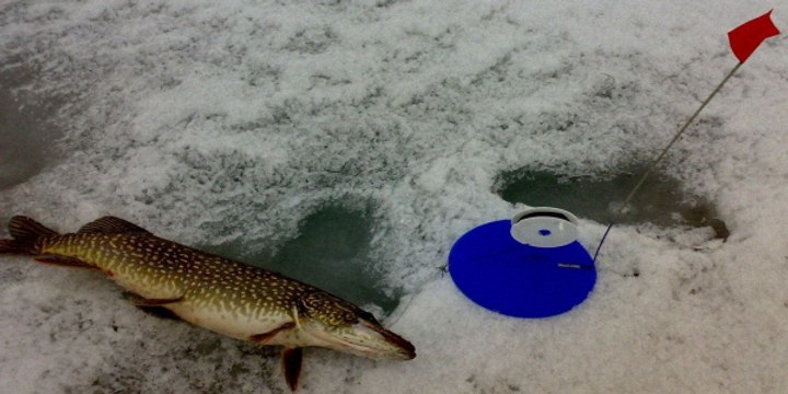 Ловля рыбы жерлицей на большом водохранилище. Глухозимье