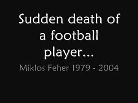 miklos feher