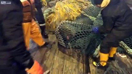 Des pêcheurs attrapent quelque chose dinhabituel qui sème la terreur sur le bateau