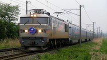 【東北本線】EF510-509　8010列車・EF510-501　2列車・2012/05/17