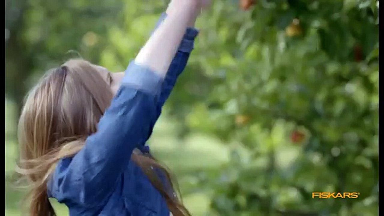 TBWA Finlande pour Fiskars - «Coupe-branche» ...