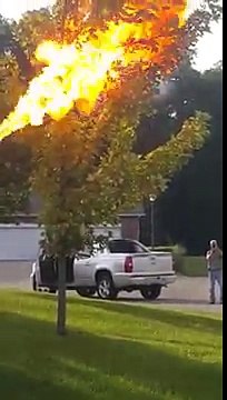 Qui est le plus fort : lance-flammes contre nid de frelons