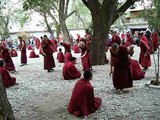 Sera monastery monks debating Pt II