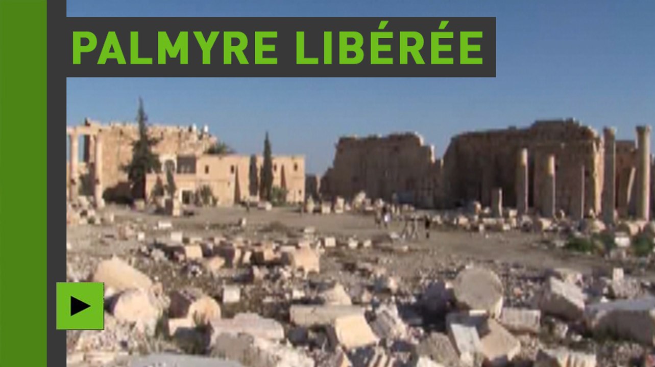 Dans la cité antique de Palmyre : accès exclusif aux vestiges après la fuite de Daesh