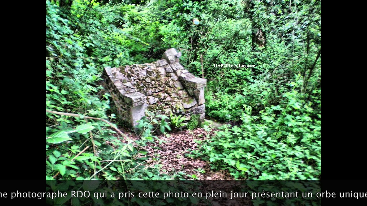 ORBE A VISAGE EN BRETAGNE