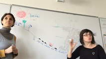 2'30 de cours de philo avec des élèves de 6e du Mans