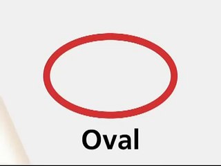 Baby Einstein Shapes Video Collection 2015 6