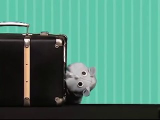 Baby Einstein Shapes Video Collection 2015 7