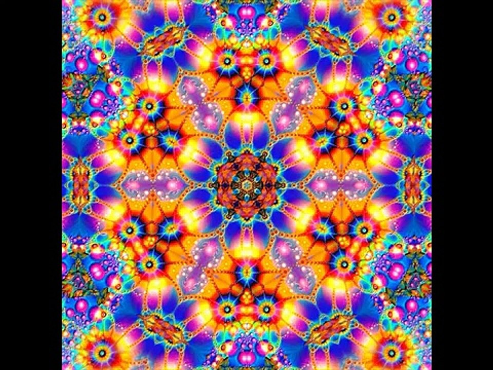 Rainbow boaKingdom Of Snakes