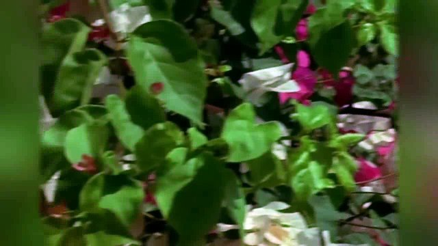 Ultimate Rajesh Khanna Hit Songs Jukebox Best Of Bollywood Old Hindi Songs_clip2