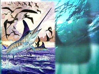 Cocos Island Sharks II