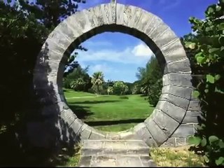 Baby Einstein Shapes Video Collection 2015 53