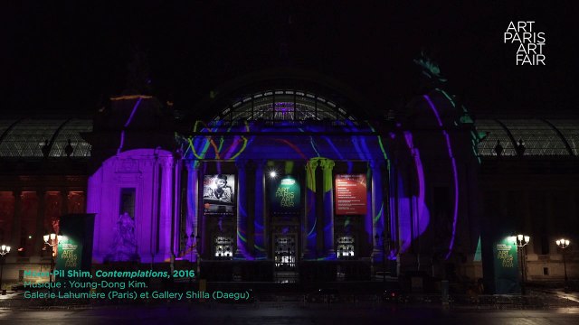 Art Paris Art Fair Grand Palais Paris 2016